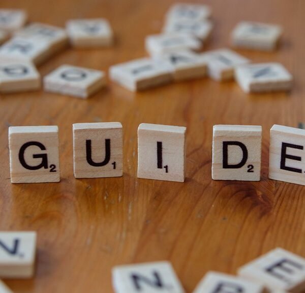 beginner friendly guide to 3533164120
